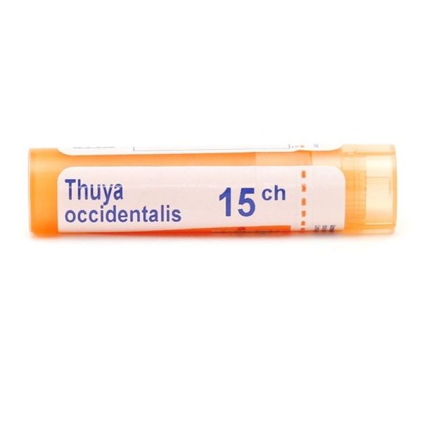 Thuya occidentalis granules homéopathie Boiron - 15 CH