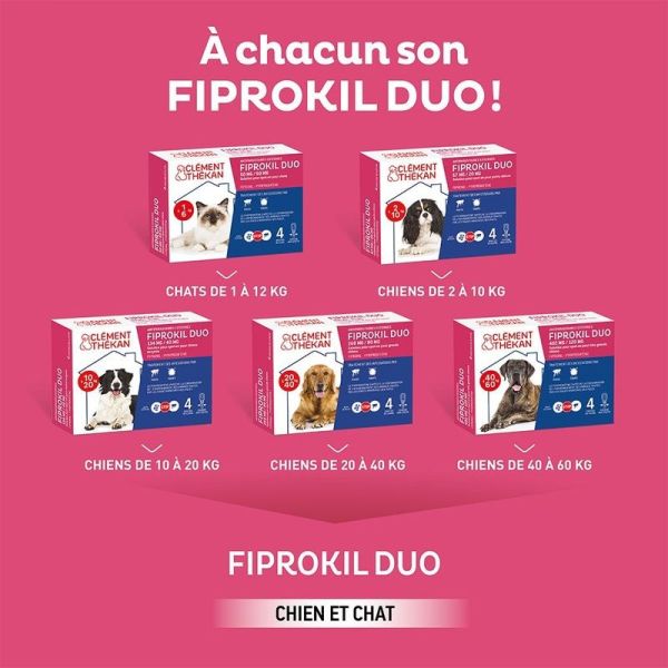Fiprokil Duo Chien Moyen - 4 pipettes de 1,34 ml