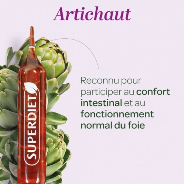 Artichaut Bio - 20 ampoules