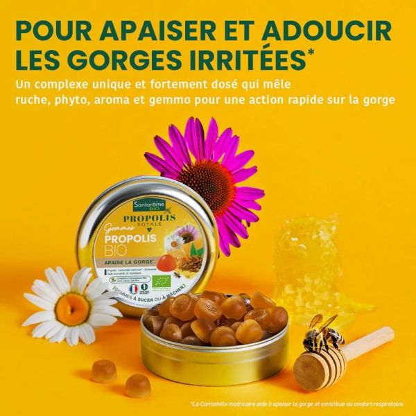 Gommes Propolis Bio - 45G