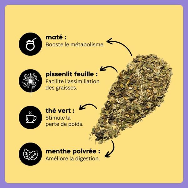 wander slim - Menthe - 1 sachet
