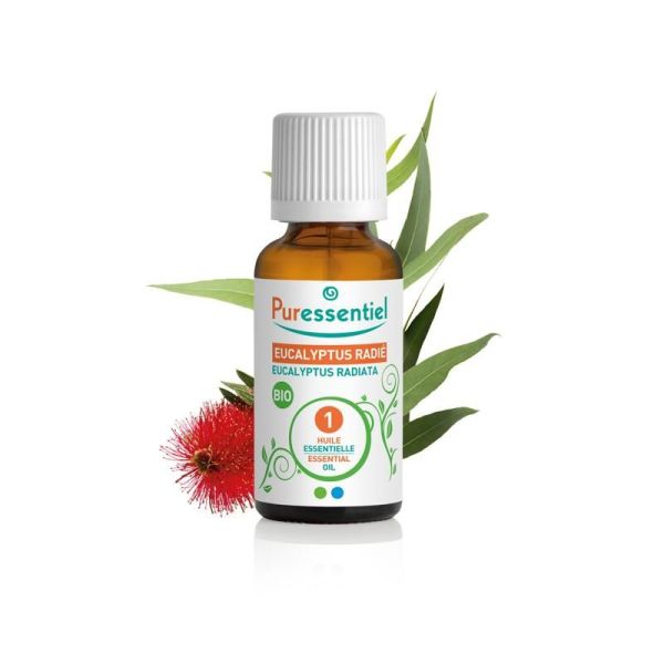 Huiles essentielles Huile Essentielle Eucalyptus Radié BIO - 10 ml