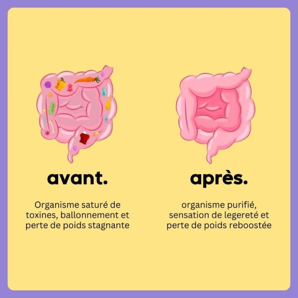 wander detox express - Fruits Exotiques - 1 sachet