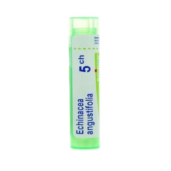 Boiron Echinacea angustifolia granules - 5 CH