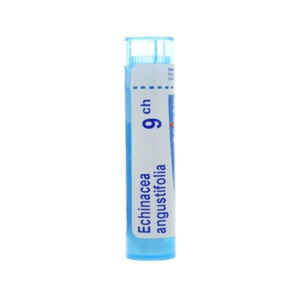 Boiron Echinacea angustifolia granules - 9 CH