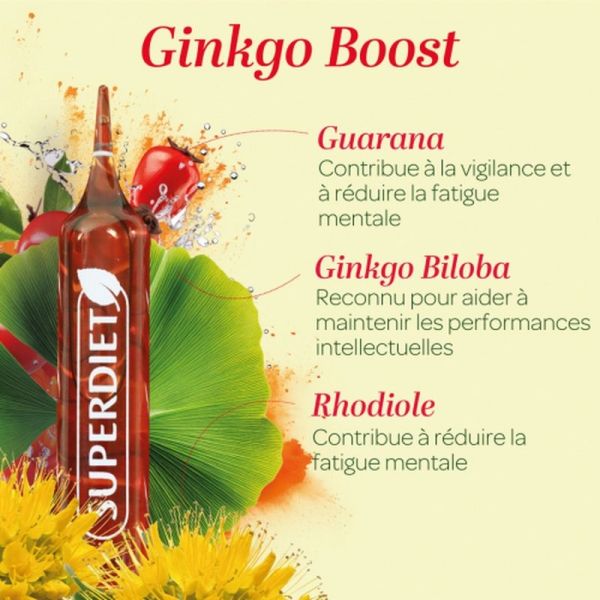 Ginkgo Stimulant mémoire Bio - 20 ampoules