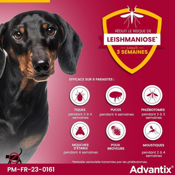 Advantix Très Petit Chien entre 1,5 et 4 kg - 4 x 0,4 ml