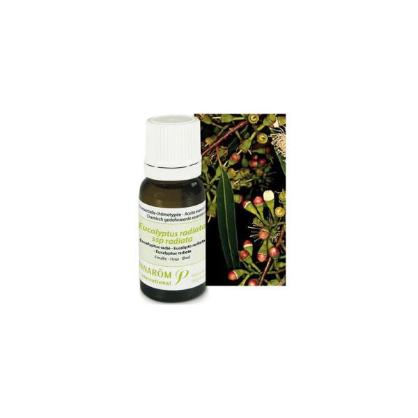 Huile essentielle d'Eucalyptus Radié - 10 ml