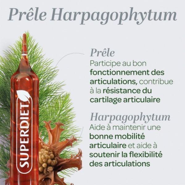 Prêle Harpagophytum Bio - 20 ampoules