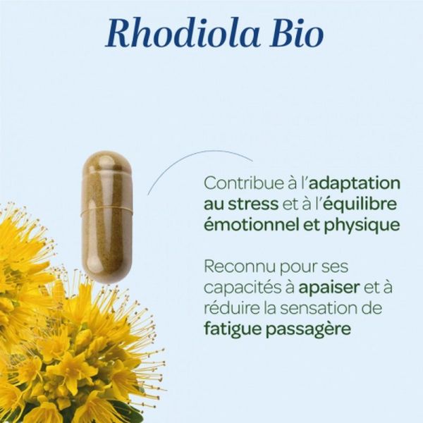 Rhodiola - 80 gélules