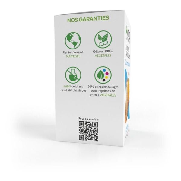 Arkogélules Curcuma Pipérine - 40 gélules