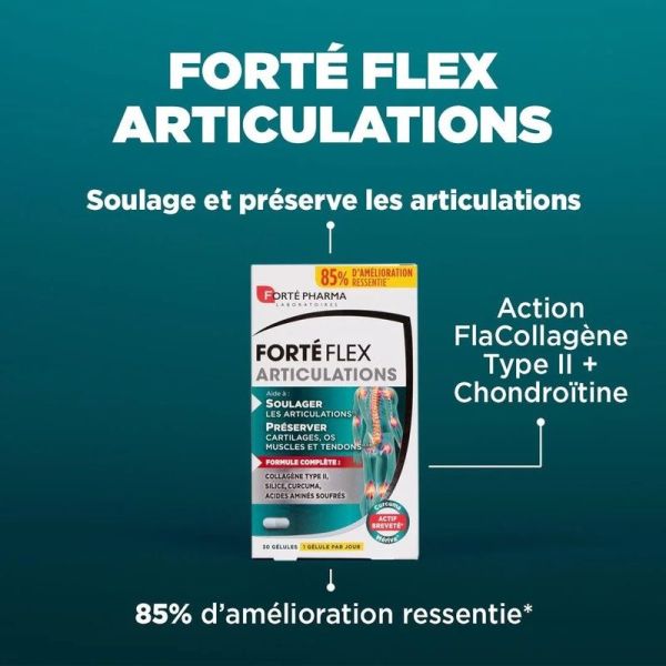 Forté Flex Articulations - 90 gélules