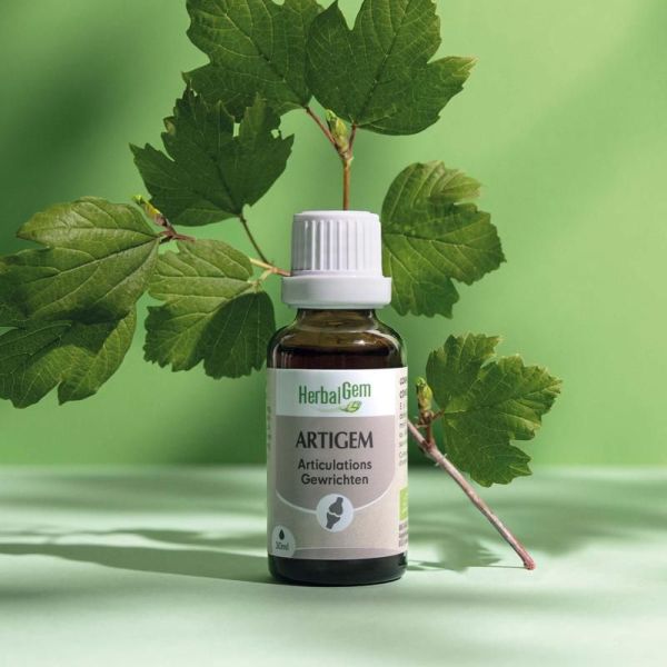 Complexes de bourgeons Artigem - complexe articulations - 30ml