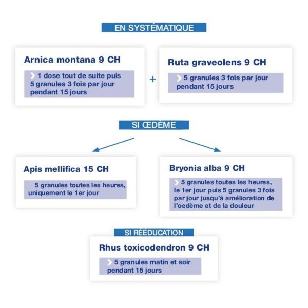 Boiron Rhus toxicodendron granules homéopathiques - 9 CH