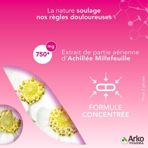 Arkogélules Achillée Millefeuille