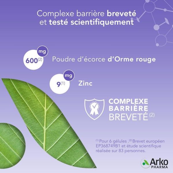 Arkogélules Orme rouge et Zinc - 40 gélules