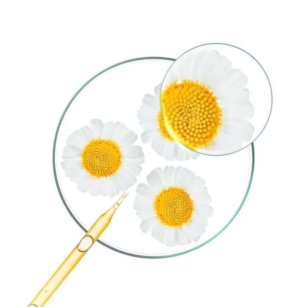 Spray à la camomille - 100 ml