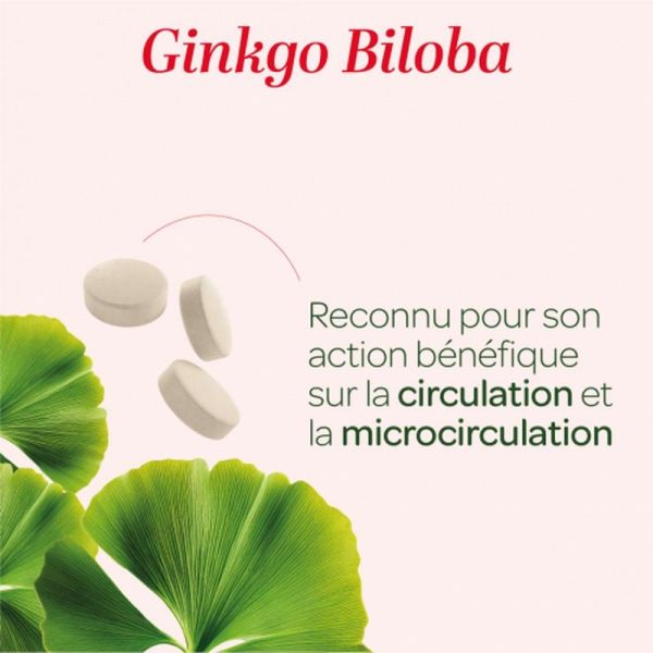 Ginkgo Biloba Bio - 80 comprimés