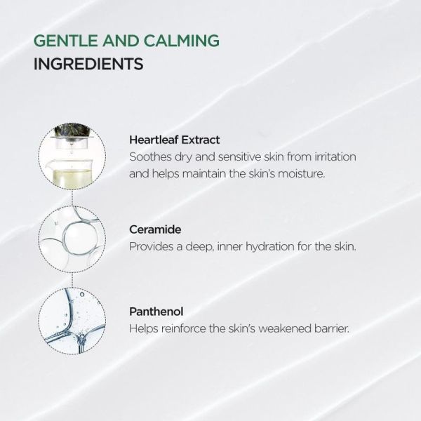 Heartleaf 70 % Intense Calming Cream - 50ml
