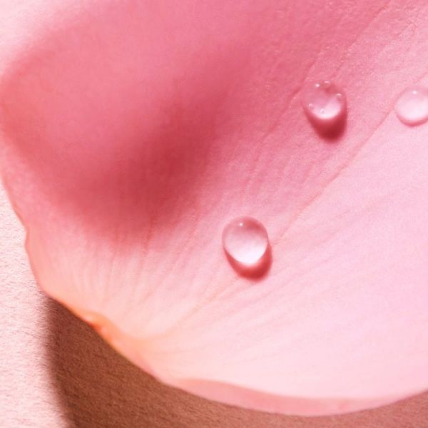 VERY ROSE Eau Voluptueuse Parfumante - 100 ml
