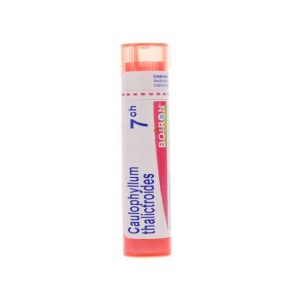 Caulophyllum thalictroides granules homéopathie Boiron - 7 CH
