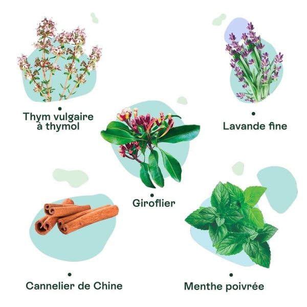 Immunité & ORL Gouttes respiratoires - 45 ml