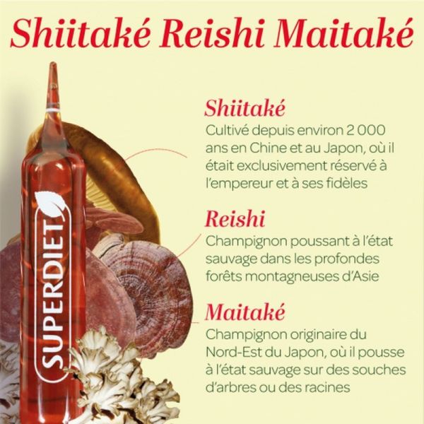 Shiitaké Reishi Maitaké Bio - 20 ampoules