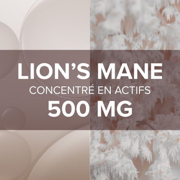 Lion’s Mane