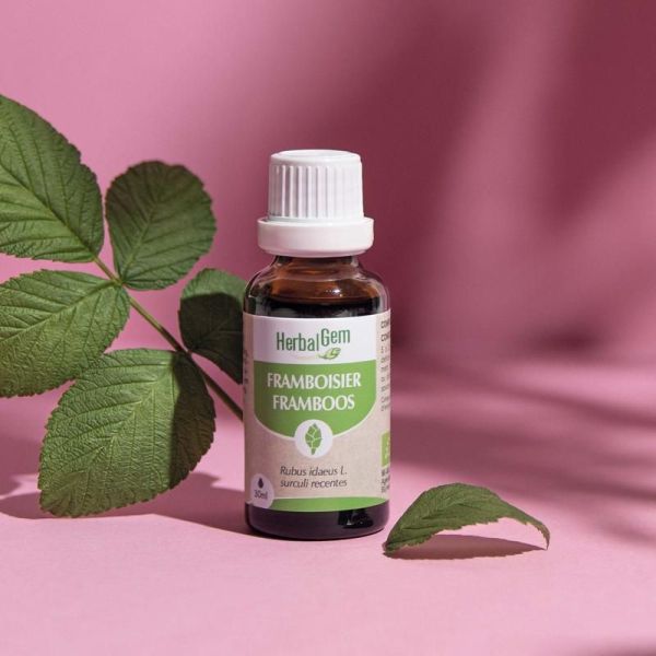 Concentrés de bourgeons Bourgeon de framboisier - Bio - 30 ml