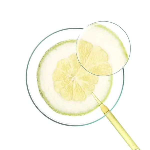 Shampoing au Cédrat - 200 ml