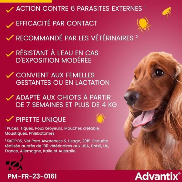 Advantix Petit Chien entre 4 et 10 kg - 4 x 1,0 ml