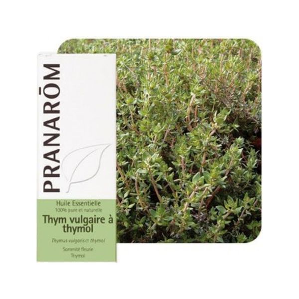 Huile essentielle Thym à thymol - 10ml