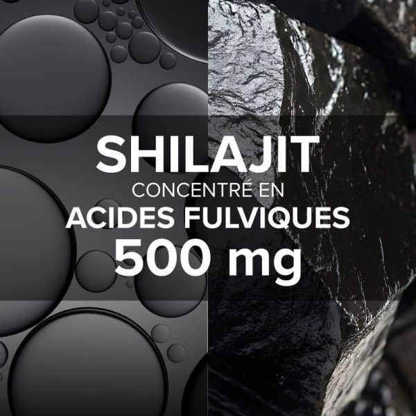 -Arkogélules Shilajit - 60 gélules
