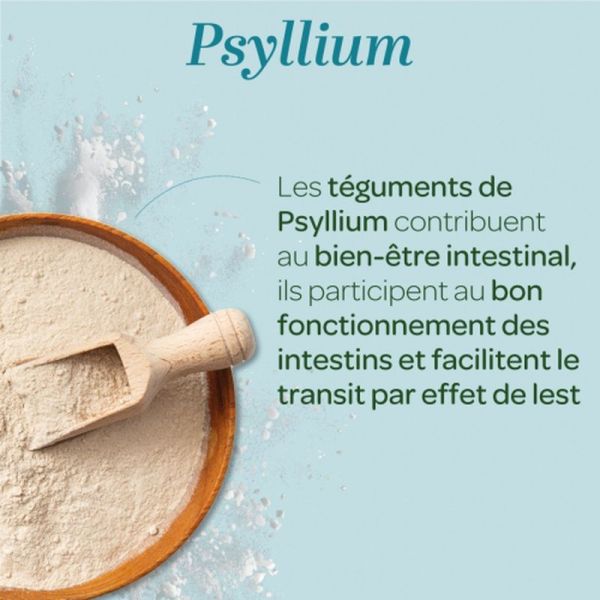 Psyllium blond Transit Bio poudre - 200g