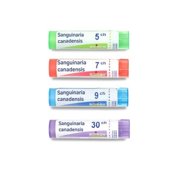 Boiron Sanguinaria canadensis granules - 5 CH