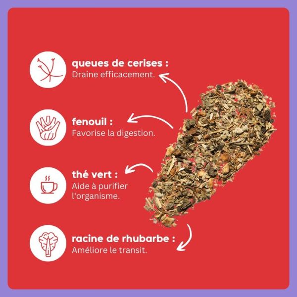 wander detox express - Fruits Rouges - 1 sachet