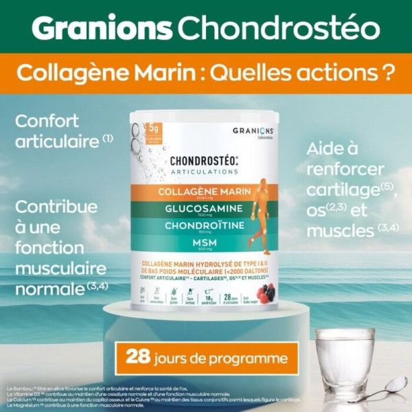 Chondrostéo+ Collagène Marin - Poudre - 280g