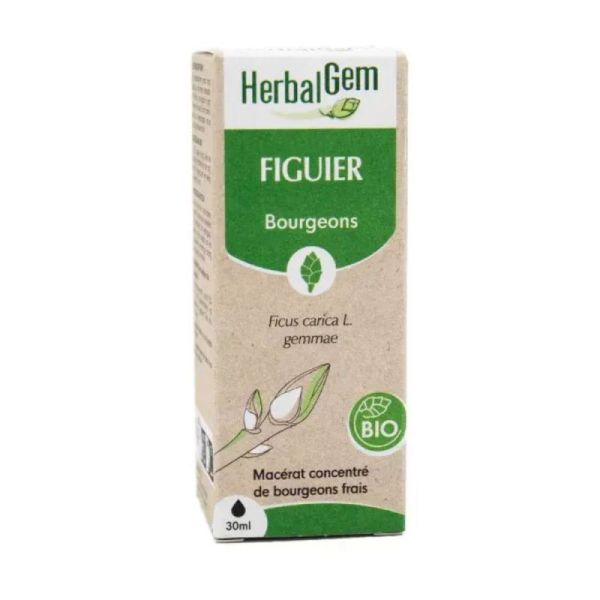 Concentrés de bourgeons Bourgeon de figuier - 30 ml