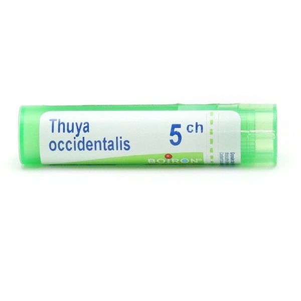 Thuya occidentalis granules homéopathie Boiron - 5 CH