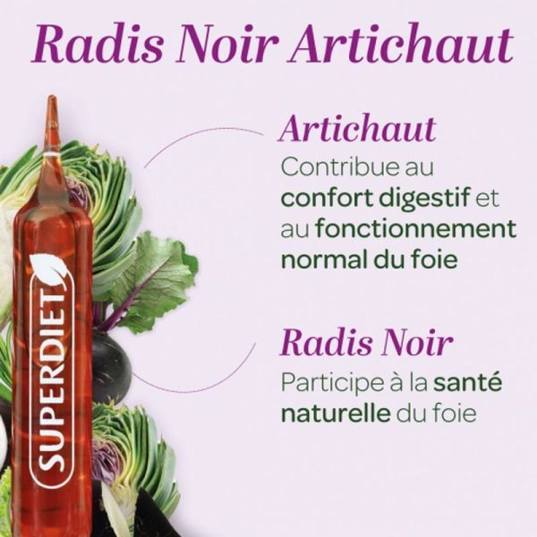 Radis noir Artichaut Bio - 20 ampoules