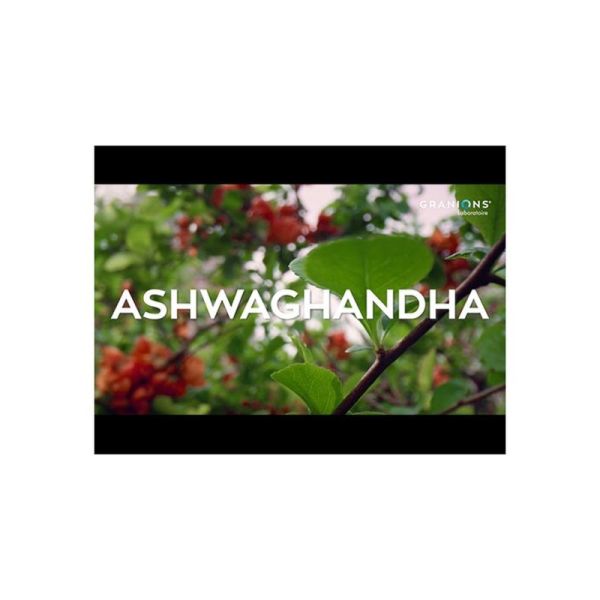 Ashwagandha Bio 1200 mg - 60 comprimés