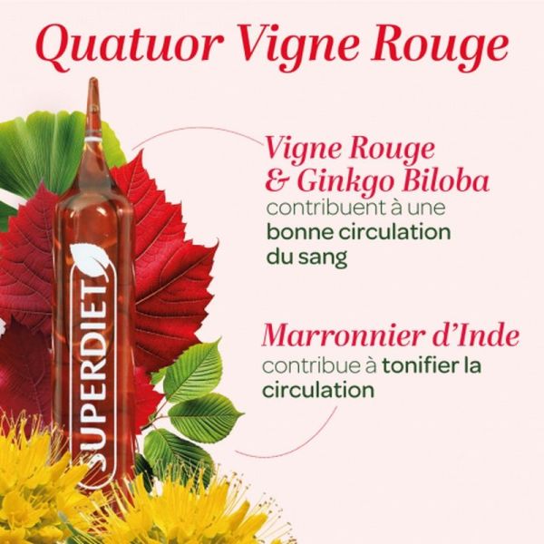 Quatuor Circulation Bio - 20 ampoules