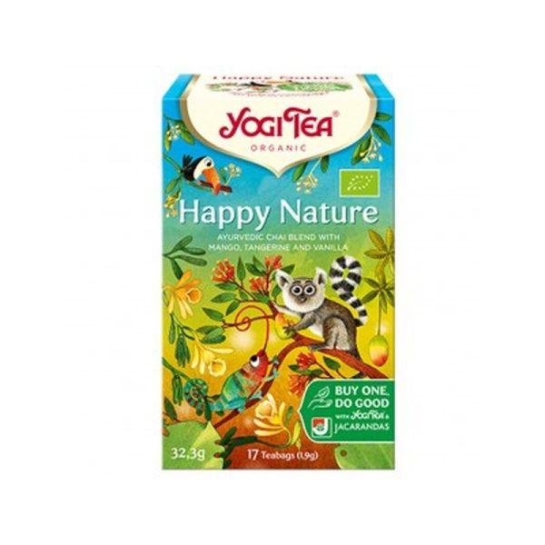 Happy Nature infusion ayurvédique - 17 sachets