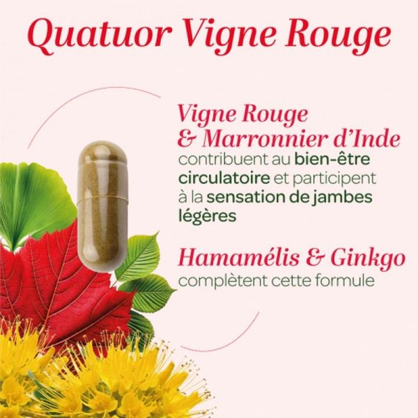 Quatuor Circulation Bio - 120 gélules