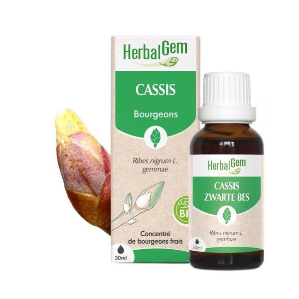 Concentrés de bourgeons Bourgeon de cassis - 30 ml