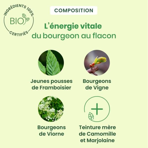 Complexes de bourgeons Feminagem - cycle menstruel - 30 ml