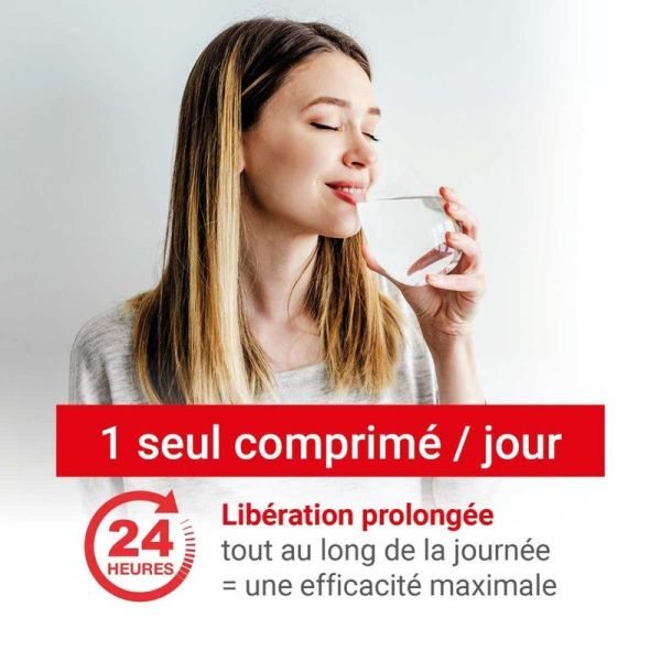 24H Cpr 40