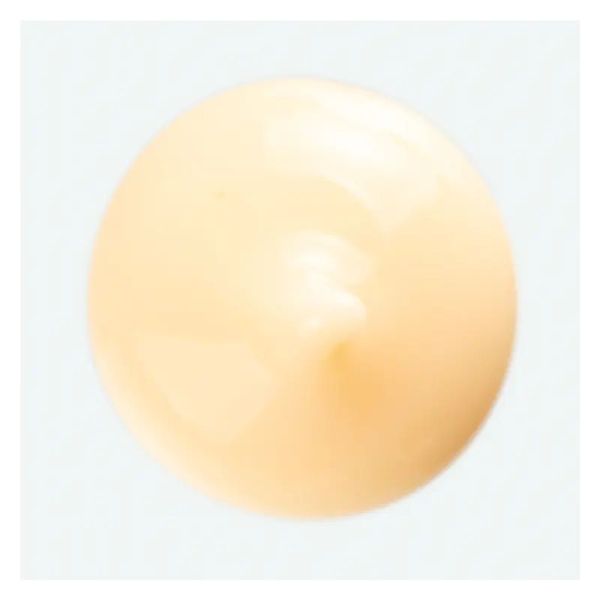 Nutrition Crème nourrissante sans rinçage - 100 ml