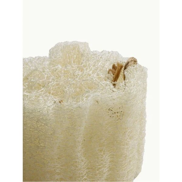 Éponge Loofa exfoliante - BIODÉGRADABLE