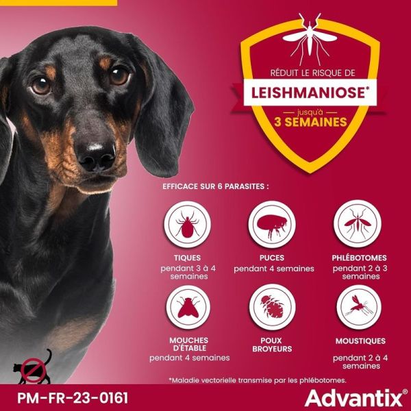 Advantix Petit Chien entre 4 et 10 kg - 4 x 1,0 ml